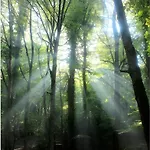 Casa Natura Gargano *