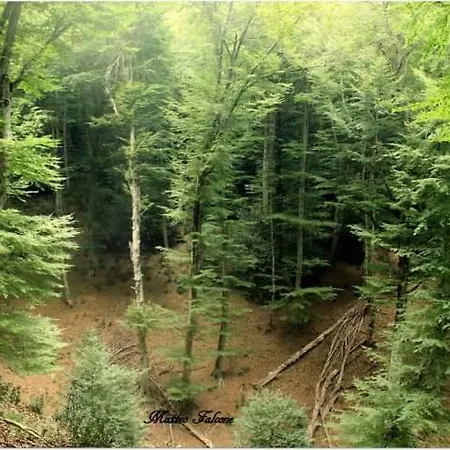 Casa Natura Gargano Bed & Breakfast 3*