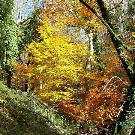 Bed & Breakfast Casa Natura Gargano