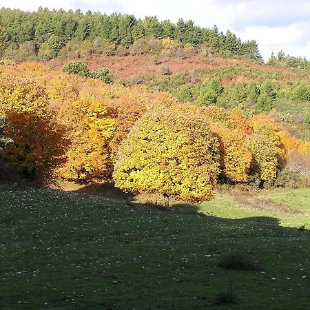 Casa Natura Gargano Bed & Breakfast 3*