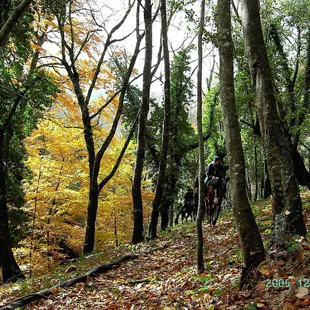 Bed & Breakfast Casa Natura Gargano 3*