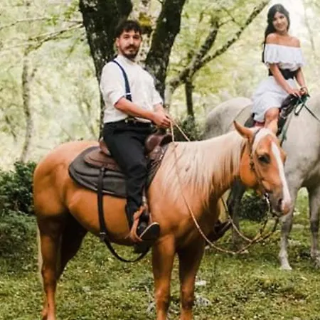 Bed & Breakfast Casa Natura Gargano 3*