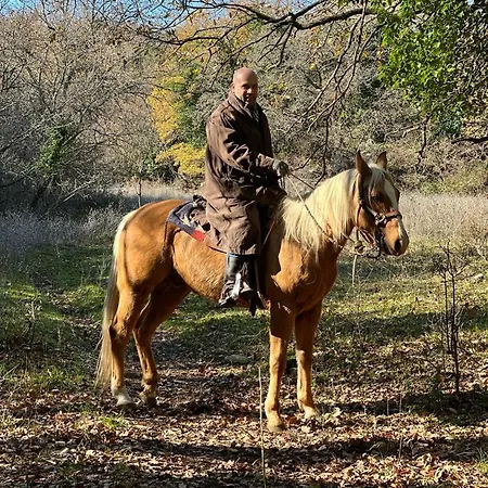 Bed & Breakfast Casa Natura Gargano Monte Sant'Angelo