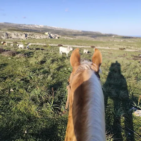 Casa Natura Gargano Bed & Breakfast 3*