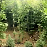 Casa Natura Gargano Frühstückspension 3*