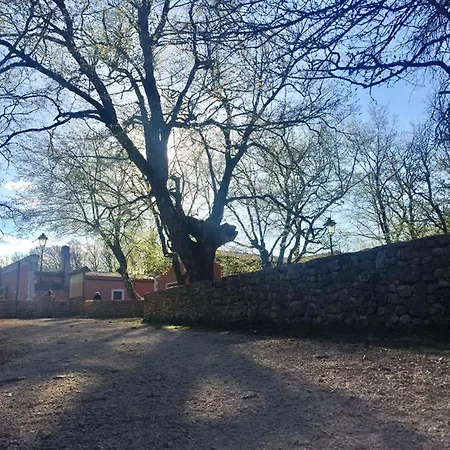 Casa Natura Gargano Bed & Breakfast *