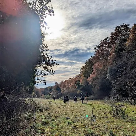 Casa Natura Gargano
