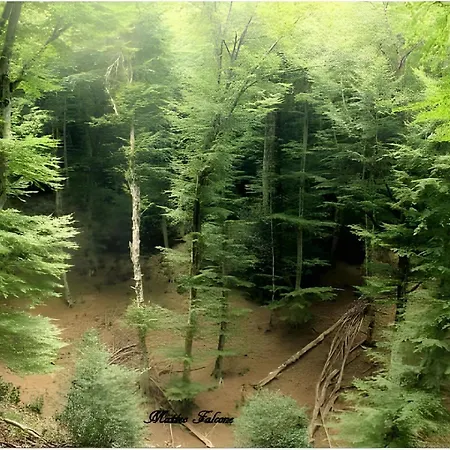 Casa Natura Gargano *