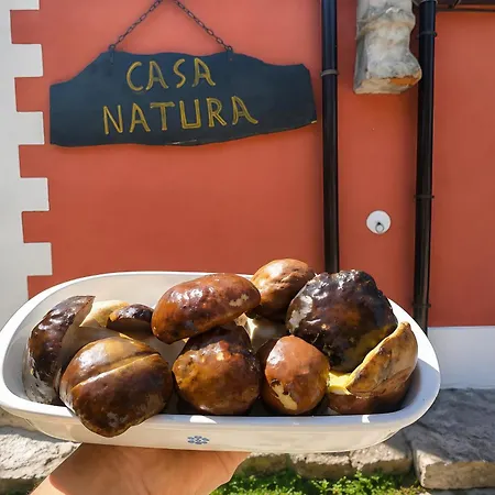 Casa Natura Gargano モンテ・サンタンジェロ