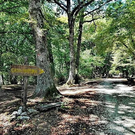 Casa Natura Gargano