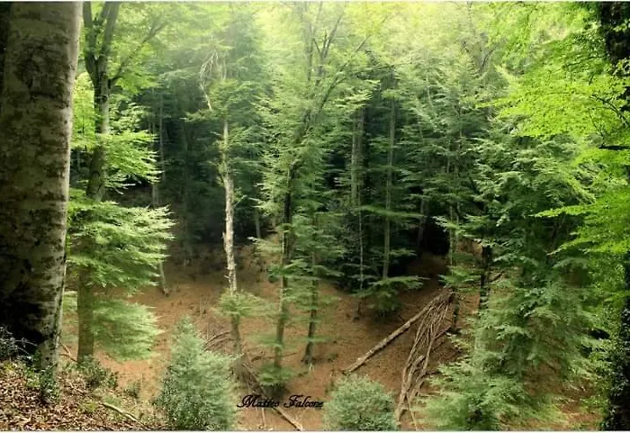 Casa Natura Gargano ベッド・アンド・ブレックファスト 3*