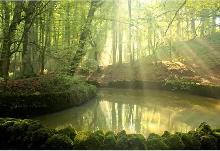 Casa Natura Gargano 3*