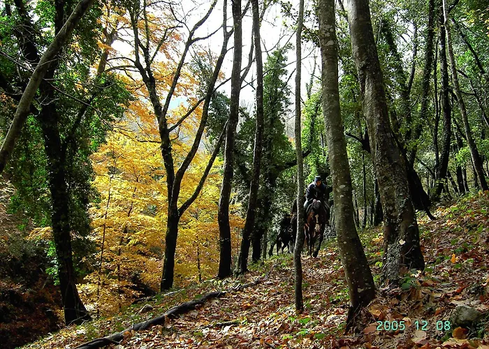 ベッド・アンド・ブレックファスト Casa Natura Gargano 3*